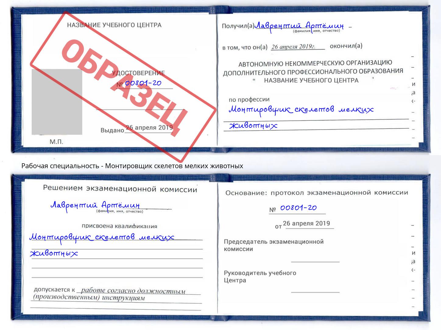 Монтировщик скелетов мелких животных Новомосковск