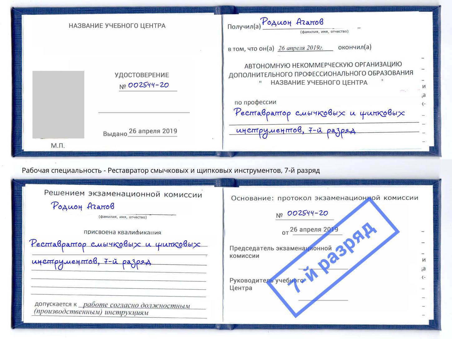 корочка 7-й разряд Реставратор смычковых и щипковых инструментов Новомосковск