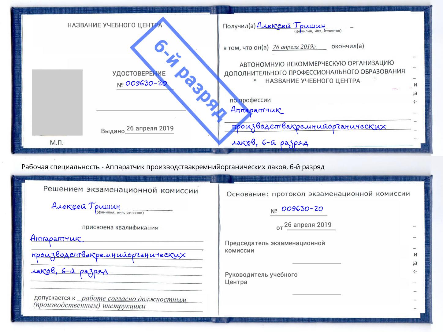 корочка 6-й разряд Аппаратчик производствакремнийорганических лаков Новомосковск